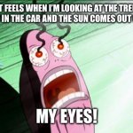 Frfr | HOW IT FEELS WHEN I’M LOOKING AT THE TREES OUT MY WINDOW IN THE CAR AND THE SUN COMES OUT OF NOWHERE; MY EYES! | image tagged in spongebob my eyes,memes,meme,fun,funny | made w/ Imgflip meme maker