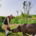 Narendro modi giving water to animal