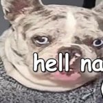 Hell naw dog