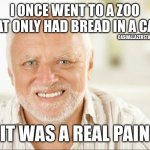 Get it ( ͡° ͜ʖ ͡°) | I ONCE WENT TO A ZOO THAT ONLY HAD BREAD IN A CAGE; CASUALLAZERSTAIN; IT WAS A REAL PAIN | image tagged in fake smile | made w/ Imgflip meme maker