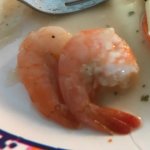 Shrimp humping another shrimp