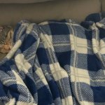 Cat Napping Under Blanket