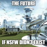 True again | THE FUTURE; IF NSFW DIDN'T EXIST | image tagged in the future world if,true | made w/ Imgflip meme maker