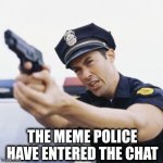 Meme police | THE MEME POLICE HAVE ENTERED THE CHAT | image tagged in freeze | made w/ Imgflip meme maker