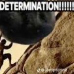 DETERMINATION!!!!!!! meme