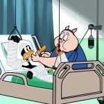 Hospital Bed