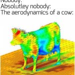 now u kn0w | Nobody:
Absolutley nobody:
The aerodynamics of a cow: | image tagged in aerodynamics of a cow | made w/ Imgflip meme maker