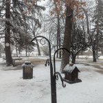 March pollen