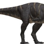 Majungasaurus (JWCT Design)