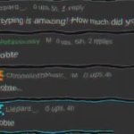 bobte meme