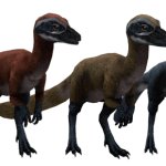 Sinosauropteryx 2 (JWA Design)