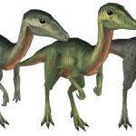 Compsognathus 6