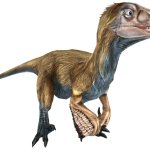 Pyroraptor (JWTG Design)