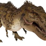 Tarbosaurus 7 (JWCC Design)