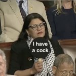 Democrat Rashida Tlaib template