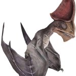 Tapejara (JWTG Design)