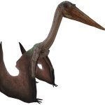 Aerotitan (JWTG Design)