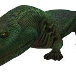 Acanthostega (JWTG Design)