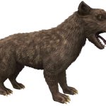 Amphicyon (JWTG Design)