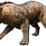 Megistotherium (JWA Design)