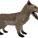 Andrewsarchus (JWTG Design)