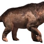 Andrewsarchus (JWA Design)