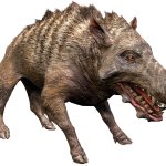 Entelodon (JWA Design)