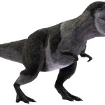 Yutyrannus (JWA Design)