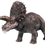 Triceratops 6