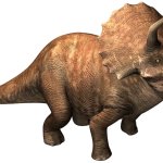 Triceratops 7