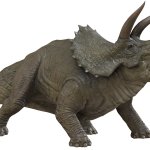 Triceratops 8