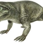 Ophiacodon (JWTG Design)
