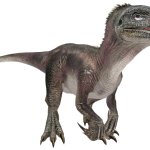 Masiakasaurus (JWA Design)