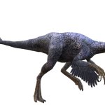 Oviraptor (JWA Design)