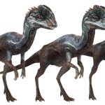 Compsovenator