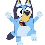 bluey random