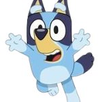 bluey random