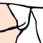Princess Peach's White Underwear