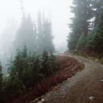 Around The Bend.