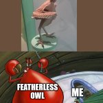 Good grief he's naked! | FEATHERLESS OWL; ME; GOOD GRIEF HE'S NAKED!! | image tagged in good grief he's naked,birds | made w/ Imgflip meme maker