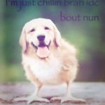 Just chilling man don’t care about nun