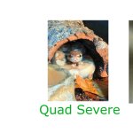 Quad Servers Template template