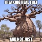 Thicc tree | THIS IS A FREAKING REAL TREE; AND NOT JUST A FUNNY IAMGE | image tagged in thicc tree | made w/ Imgflip meme maker