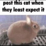 Send it when they least expect it