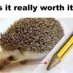 Is it really worth it?