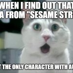 Well, it's never been confirmed, as far as I know, that this other character has it. | WHEN I FIND OUT THAT JULIA FROM "SESAME STREET"; IS NOT THE ONLY CHARACTER WITH AUTISM | image tagged in memes,omg cat,sesame street,autism,omg,pbs kids | made w/ Imgflip meme maker