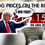 Trump sez shut up about egg prices meme