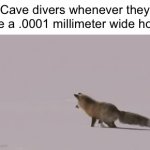 And they end up dying too | Cave divers whenever they see a .0001 millimeter wide hole: | image tagged in gifs,funny,memes,funny memes,true,why are you reading this | made w/ Imgflip video-to-gif maker