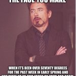 Face You Make Robert Downey Jr Meme | THE FACE YOU MAKE; WHEN IT’S BEEN OVER SEVENTY DEGREES FOR THE PAST WEEK IN EARLY SPRING AND YOU WAKE UP TO FIND FROST ON YOUR CAR AGAIN. | image tagged in memes,face you make robert downey jr | made w/ Imgflip meme maker