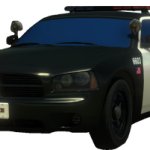 Police car